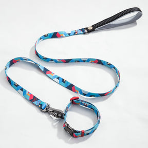 Pet leash collar