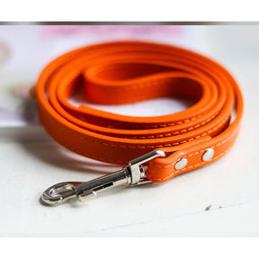 Pet leash collar