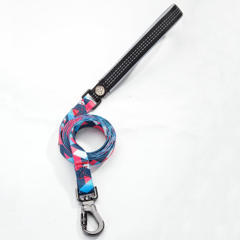 Pet leash collar