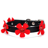 Sunflower pet collar