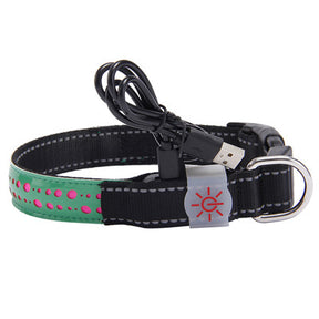 LED light collar pet collar