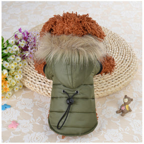 Pet down cotton clothing