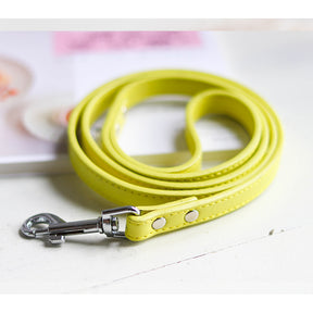 Pet leash collar