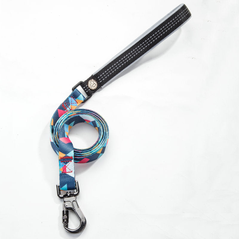 Pet leash collar