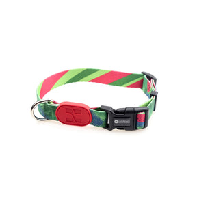 Pet dog collar