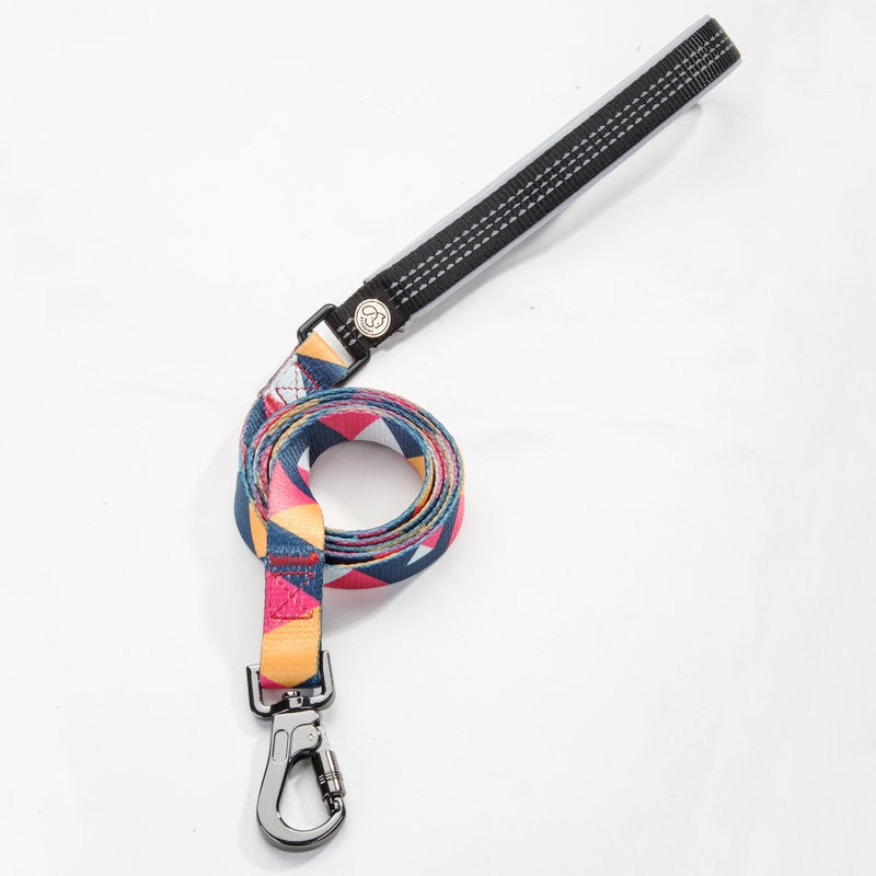 Pet leash collar