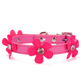 Sunflower pet collar