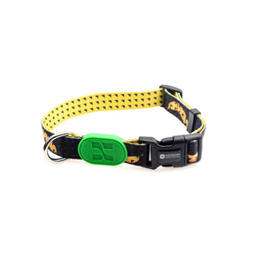 Pet dog collar