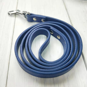 Pet leash collar