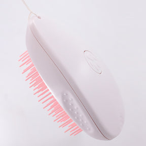 Brush Brush Cat Hair White Pet